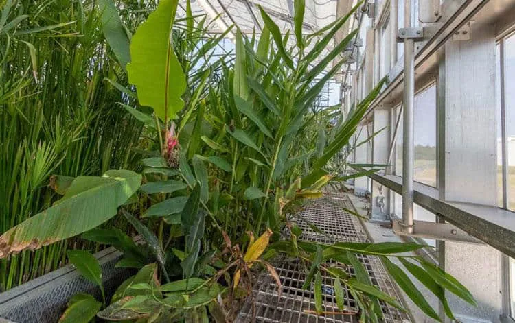 Ecosystem Reclamation Facility Uses Natural Processes to Treat Wastewater