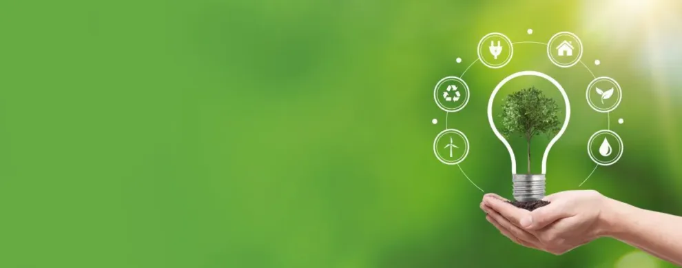 <strong>Atwell expands environmental capabilities in Florida with acquisition of Dexter Bender & Associates</strong>