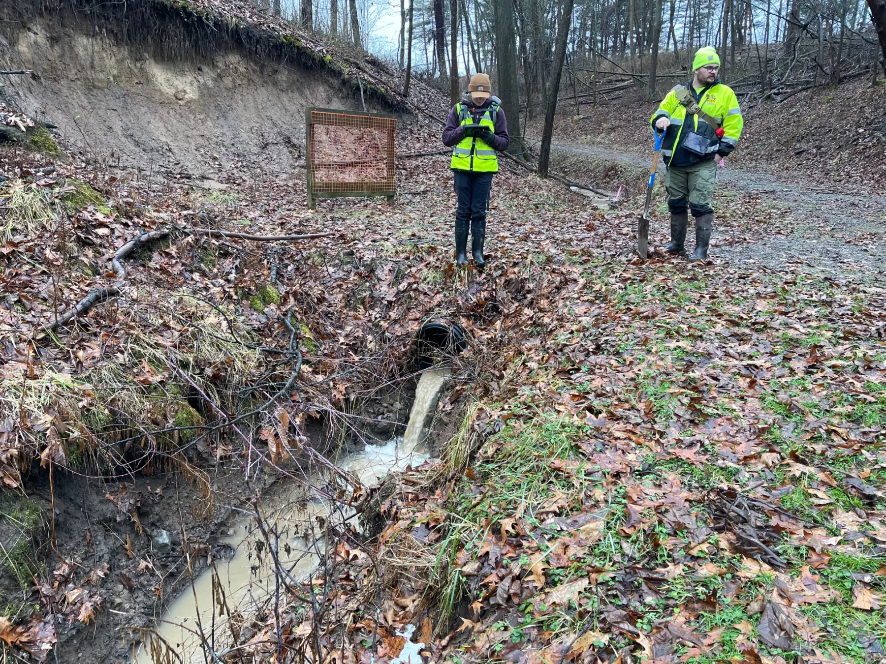 A Continued Push: Digitalization & Environmental Permitting