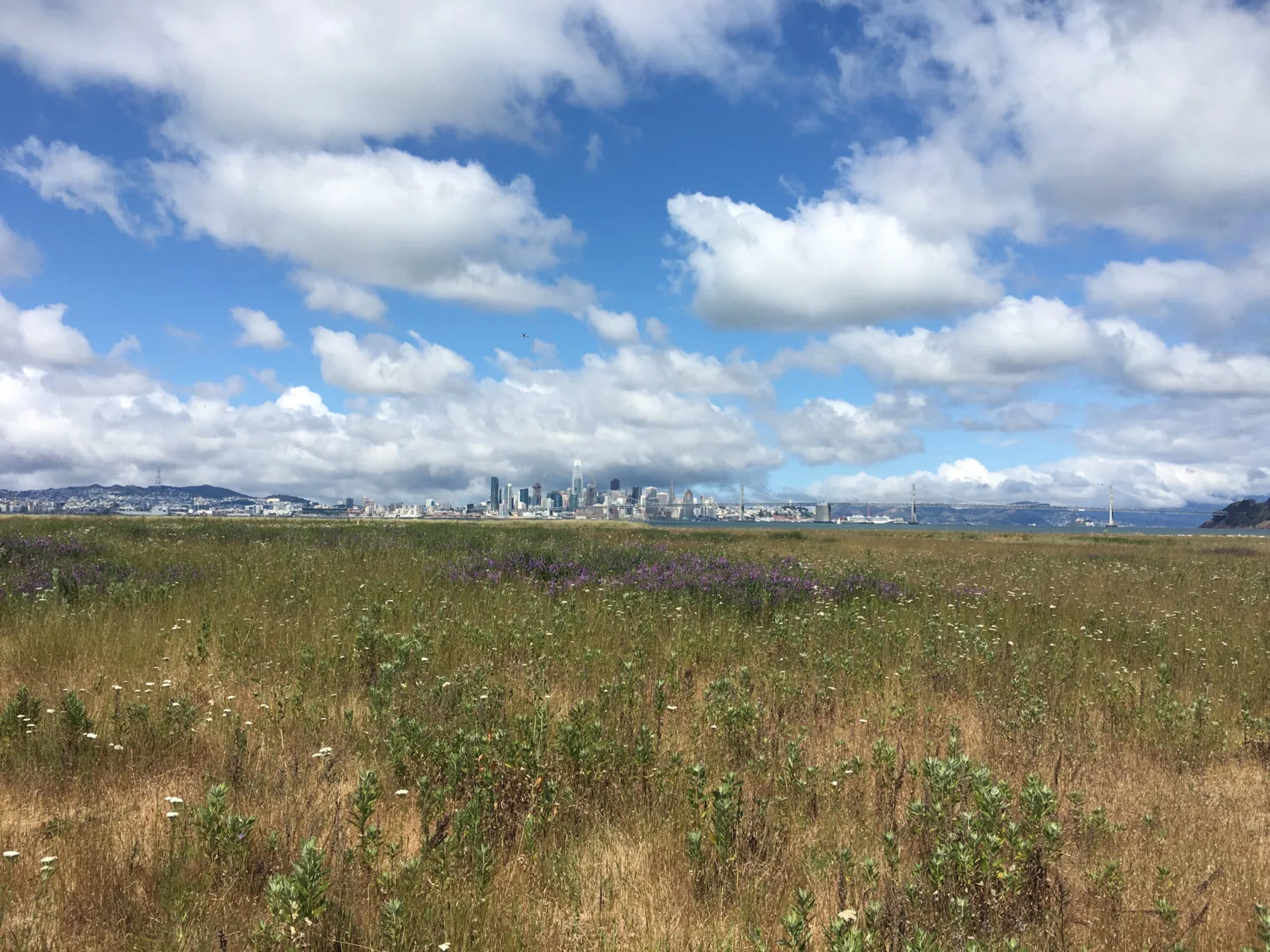 Stantec, Tetra Tech, APTIM joint venture selected for U.S. Navy CLEAN program